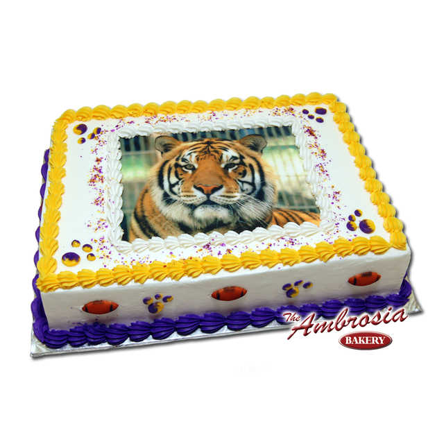 Our Favorite Tiger - (Number 2)