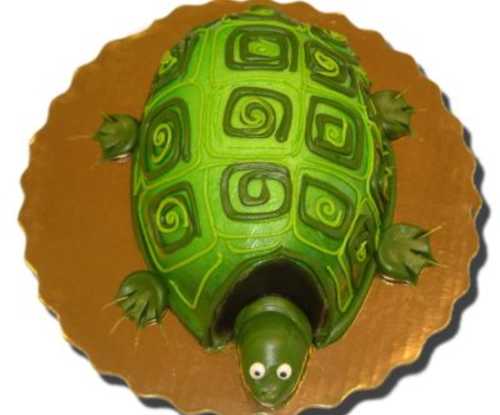 Sculpted Turtle