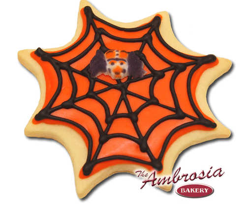 Spider Web Cut-Out Cookie