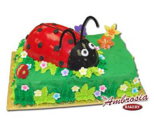 Ladybug with Petit Four Icing on Sheet Cake