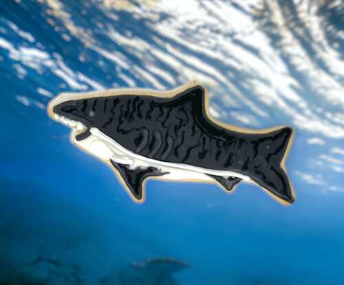 Tiger Shark Cutout Cookies (12)