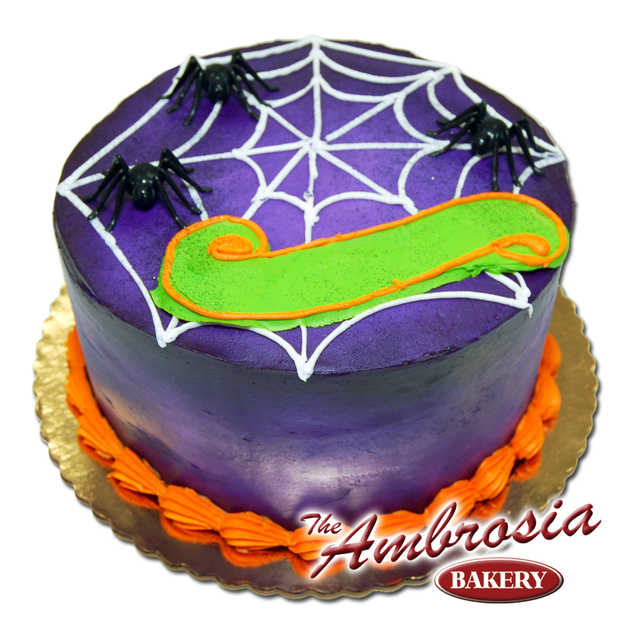 Halloween Spider Web