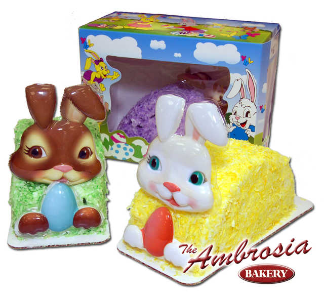 Bunny In A Box with Coconut Icing or Airbrush