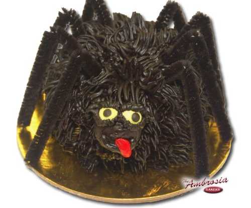 Cupcake Spider