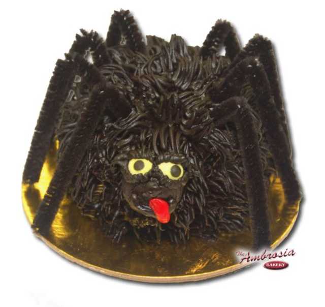 Cupcake Spider