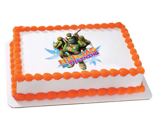 Teenage Mutant Ninja Turtles in Training PhotoCake® Image