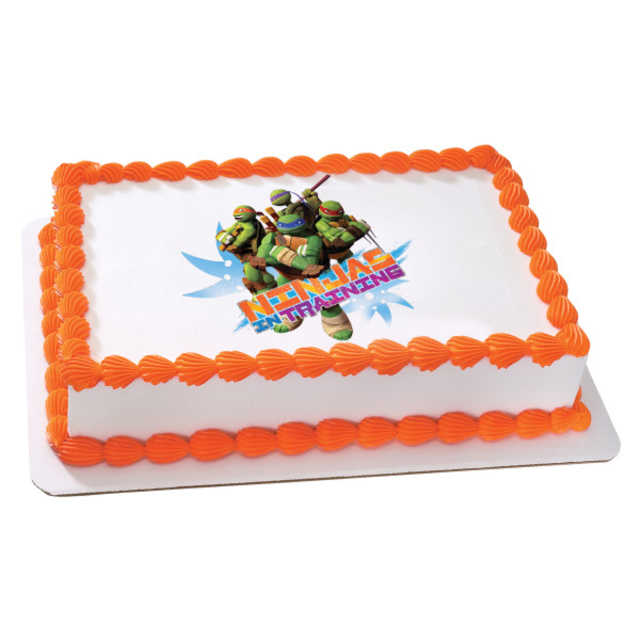 Teenage Mutant Ninja Turtles in Training PhotoCake® Image